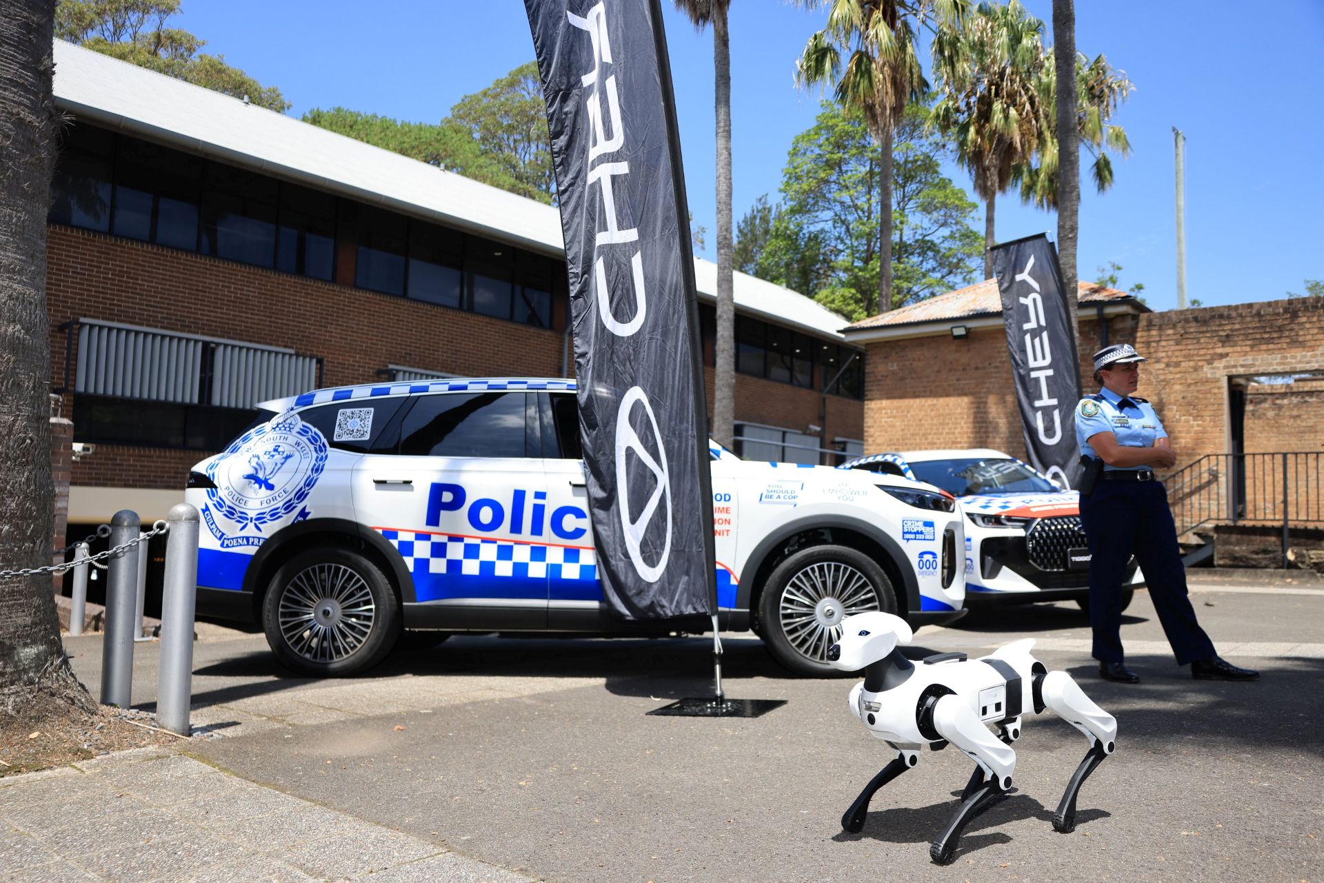 chery-robot-dog-carnet-hir