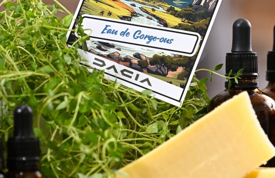 dacia-premium-szolgaltatas