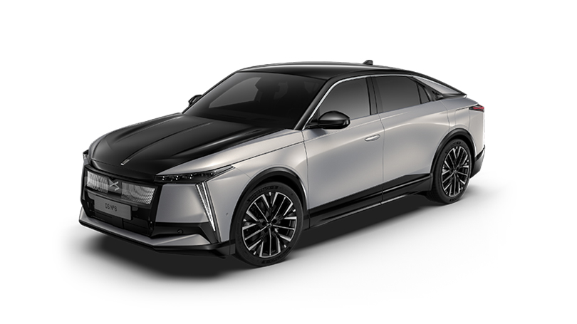 ds-n08