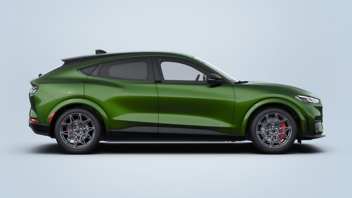 mustang-mache