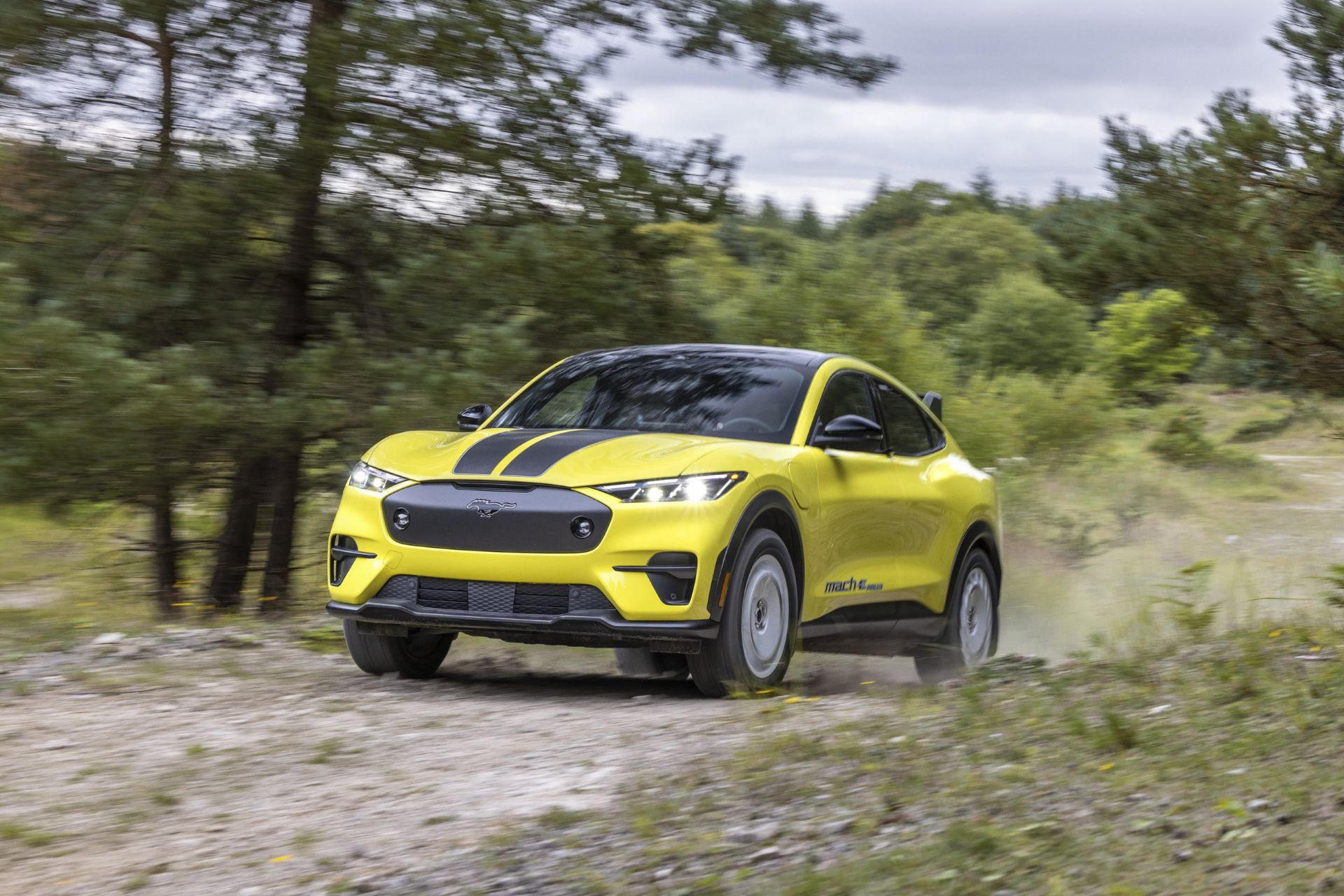 ford-mustang-mach-e-rally-carnet-hir