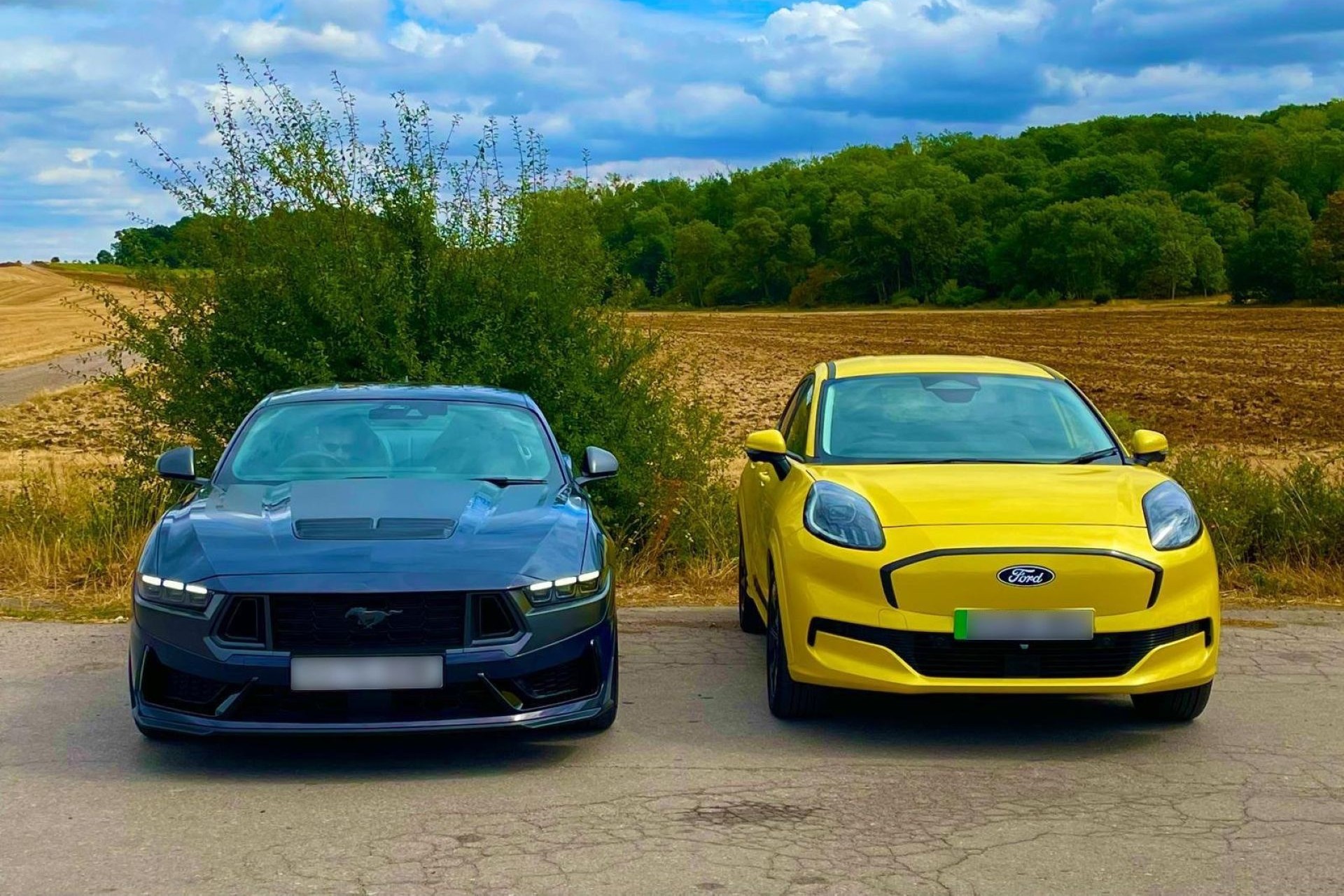 karen-horton-ford-puma-1-million-carnet-hir-6