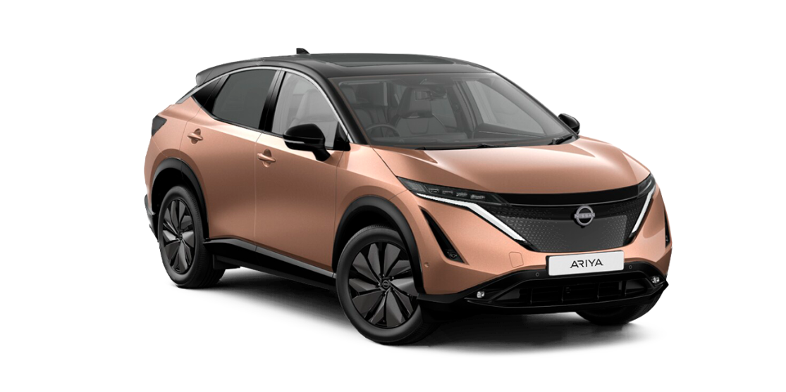 nissan-ariya-tartos-berlet-carnet