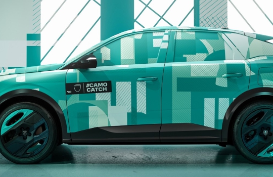 peugeot-3008-camocatch