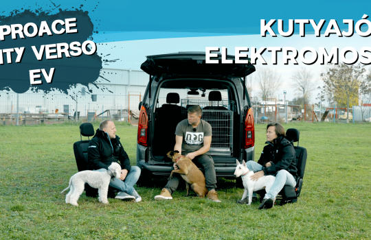 CarNet RIDE - egy Kutyajó Elektromos, ráadásul 7 személyes