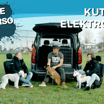 CarNet RIDE - egy Kutyajó Elektromos, ráadásul 7 személyes